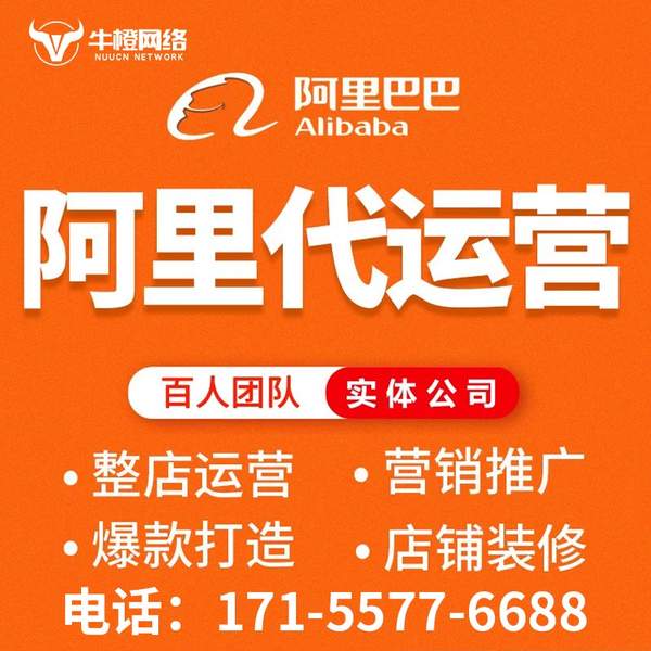延边电商代运营