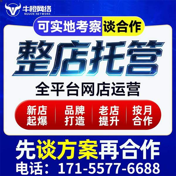 延边电商代运营