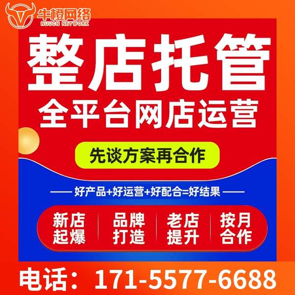 延边电商代运营