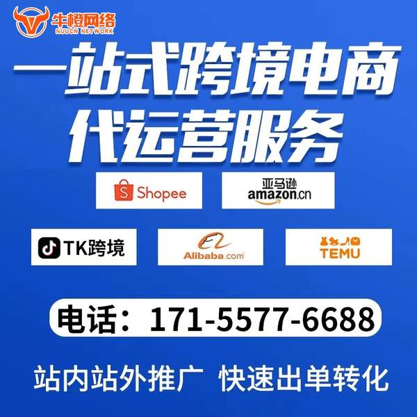 延边电商代运营