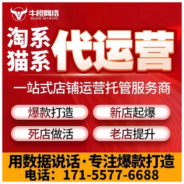 延边电商代运营
